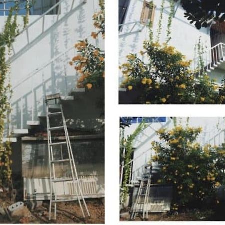 Villa Dao Hoa Vang Cam Ranh - Venuestay מראה חיצוני תמונה